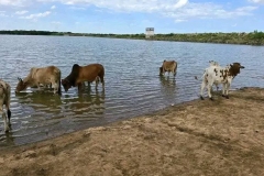 LLRP-vacance-2