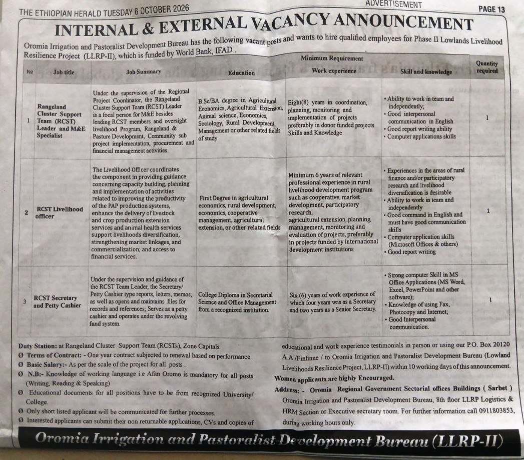 job vacancies